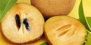 میوه‌های استوایی چابهار
